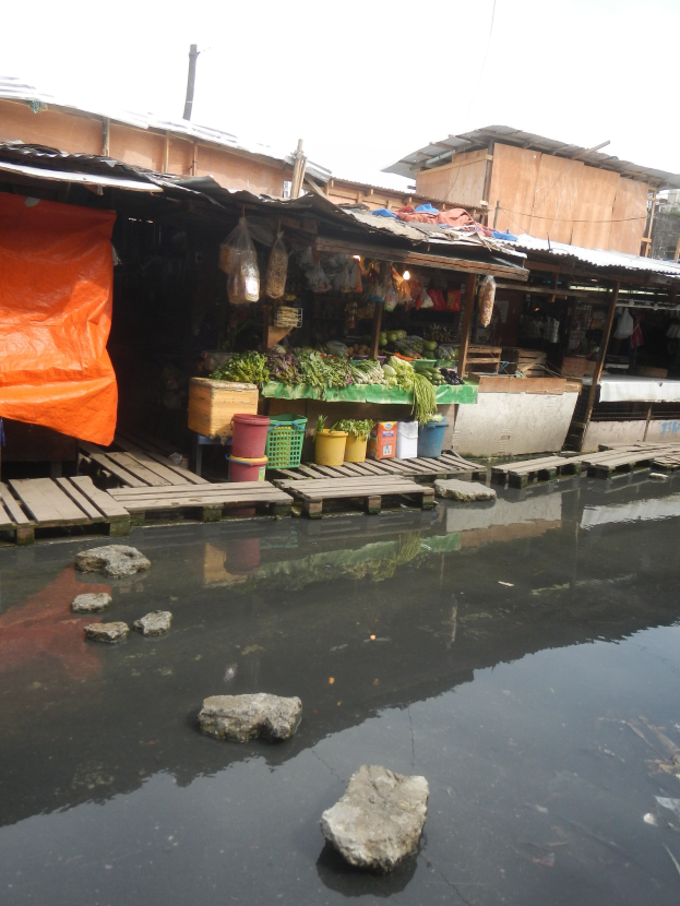 Kleiner Fischmarkt am Wasser umgeben von Häusern, Bäumen und blauem Himmel, mit Felsen und Wasser im Vordergrund und Gemüse, Körbe und anderen Gegenständen in der Mitte.