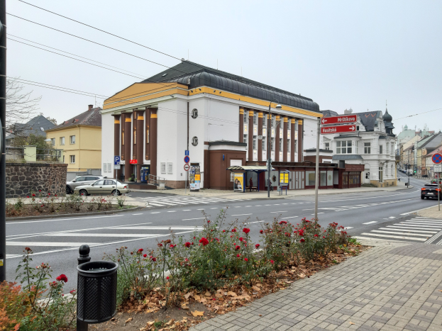 Eine Stadtstraße mit Autos, einer Zebrastreifen, Gebäuden, Schildern, einem Mülleimer, Pflanzen mit Blumen, trockenen Blättern, Bäumen und einem Himmel im Hintergrund.