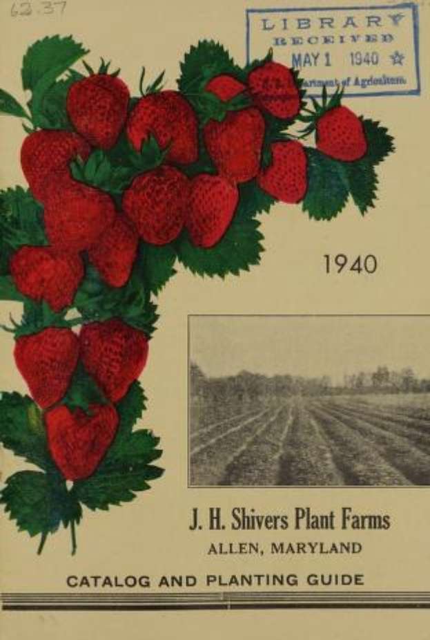 Titelbild des 1940 "J.H. Shivers Plant Farms Catalog and Planting Guide" mit einer Illustration von Erdbeeren.