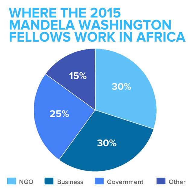 Tortendiagramm auf weißem Hintergrund, das die prozentuale Verteilung der in Afrika Beschäftigten im Jahr 2015 zeigt, mit begleitendem Text.